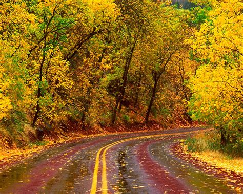 Country Theme Wallpaper Road In The Autumn Wallpaper Country Roads
