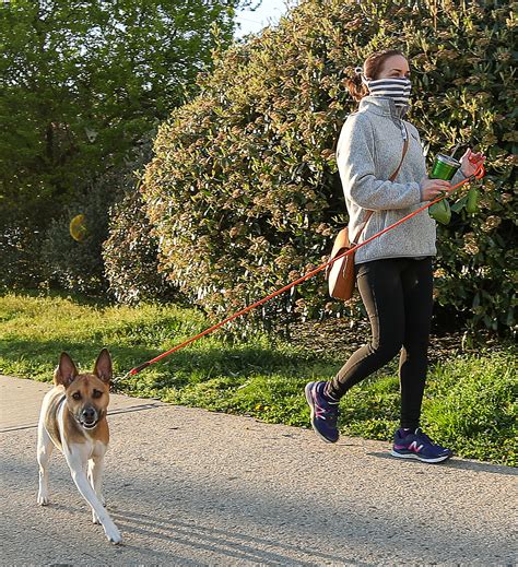 Cuomo Suggests New Yorkers Wear Masks When Walking Dog