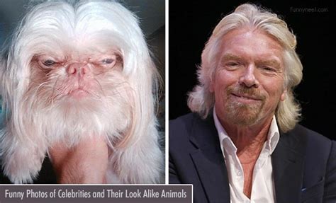 Funny Photos Of Celebrities And Their Look Alike Animals Funny Images