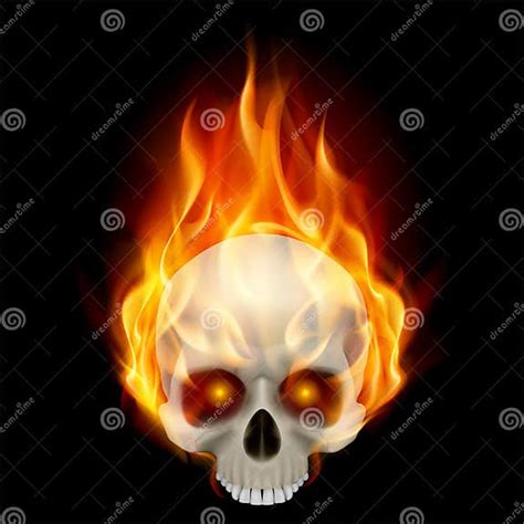 Burning Skull Stock Vector Illustration Of Anatomy Creativity 24490508