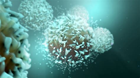 Isa Plans Trials Of T Cell Boosting Covid 19 Therapy Pharmaphorum