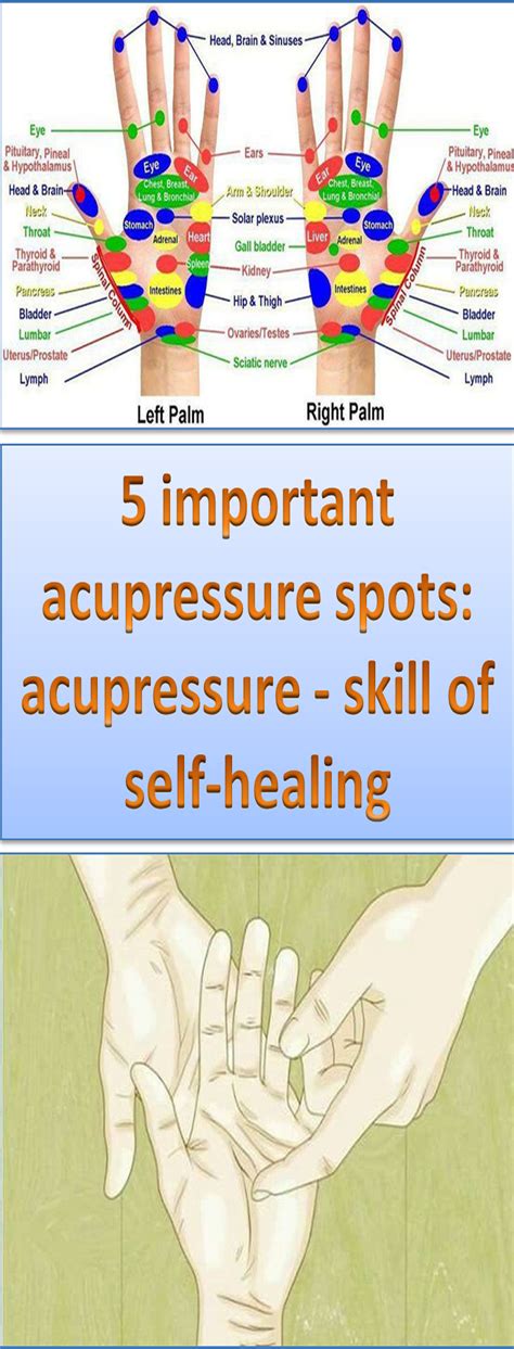 5 important acupressure spots acupressure skill of self healing acupressure acupressure