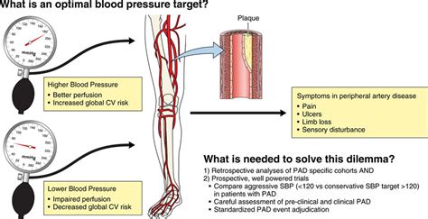 New Curveball For Hypertension Guidelines Circulation