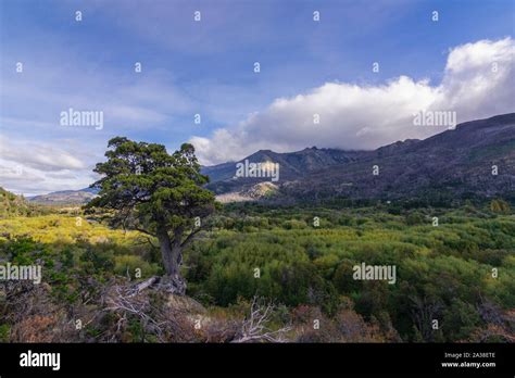 Cordillera De La Patagonia Hi Res Stock Photography And Images Alamy