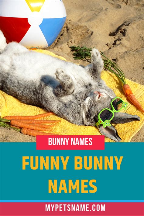 Funny Bunny Names Bunny Names Rabbit Names Cute Pet Names