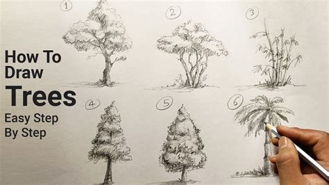 How To Draw Trees Easy Step By Step Different Type Of Trees Art Drawing Tutorials Youtube