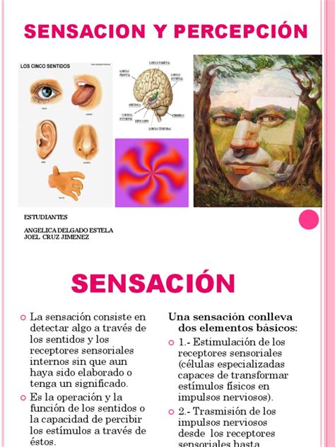 Sensacion Y PercepciÓn Diapositivaspptx Percepción Cognición