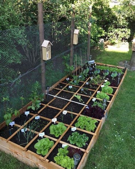 60 Easy To Try Vegetable Garden For Beginners Design Ideas 2