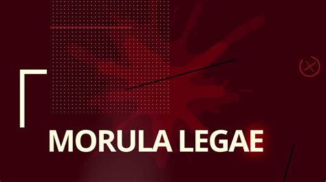 Morula Legae Youtube