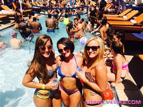 Crawl Vegas Pool Party Tour Vegas Tours Llc Reservations