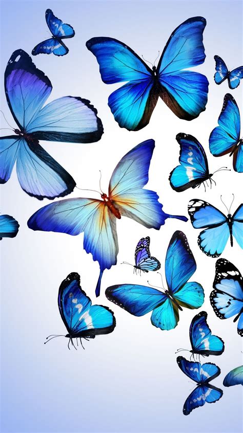 Aesthetic Blue Butterfly Wallpaper Desktop Download Free Mock Up