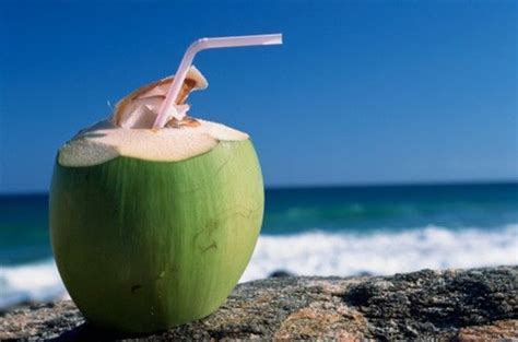 Main Health Benefits Of Drinking Buko Juice Philippine Trending News