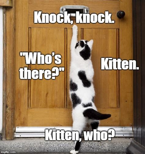 Kitty Knocking The Door Imgflip