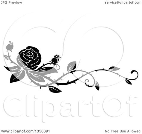 Clipart Of A Black And White Floral Rose Vine Border Design Element