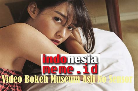 Video Bokeh Museum Internet 2020 Asli Indonesia Tipe Fauna Bagian Tengah