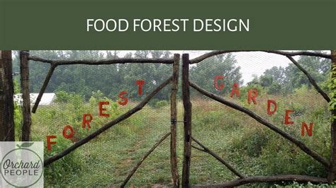 Food Forest Design And Listening To The Landscape 🍑 👂 🌳 Orchard