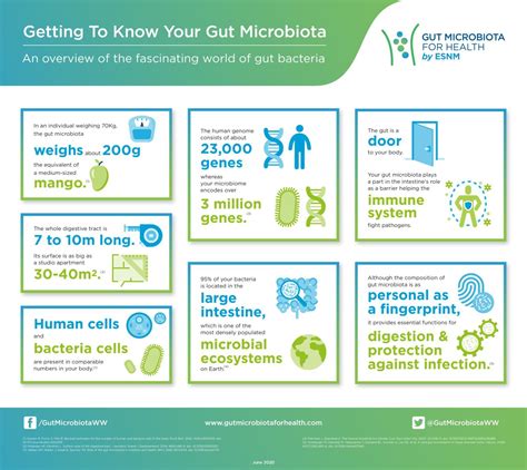 Getting To Know Your Gut Microbiota Gut Microbiota For Health Gut