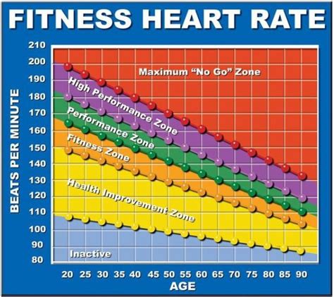 What Does A Heart Rate Of Bpm Mean Best Design Idea
