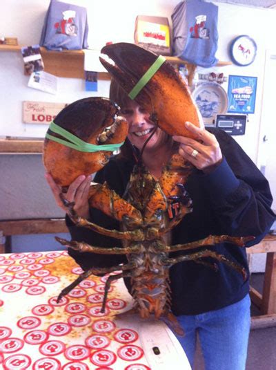 Animal Picture Of The Day 18 Pound Lobster Saved From Dinner Plate