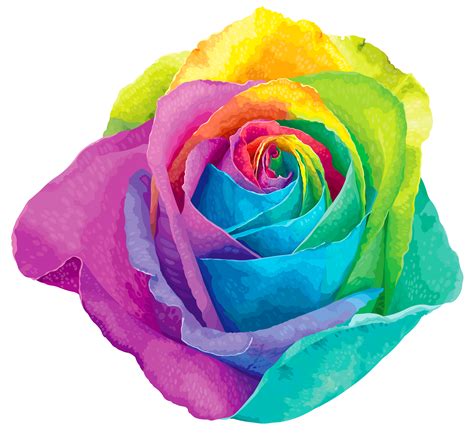 Rainbow Rose Clipart 20 Free Cliparts Download Images On Clipground 2024