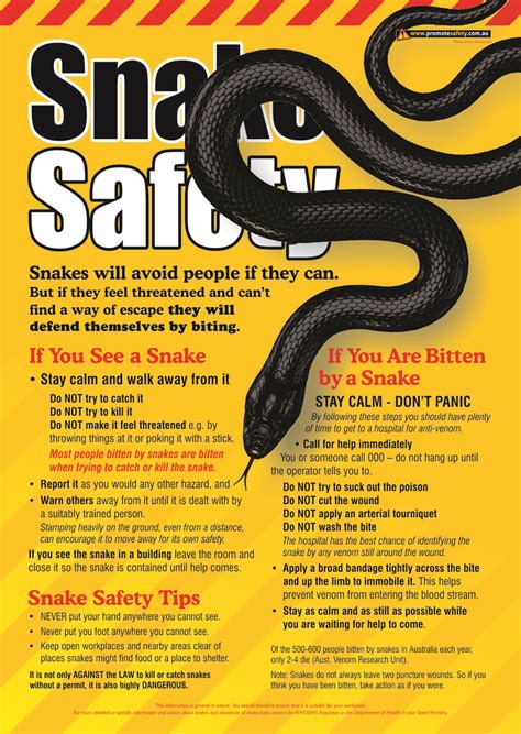 Snake Awareness Safety Poster How To Prevent Snake Bite If You See One