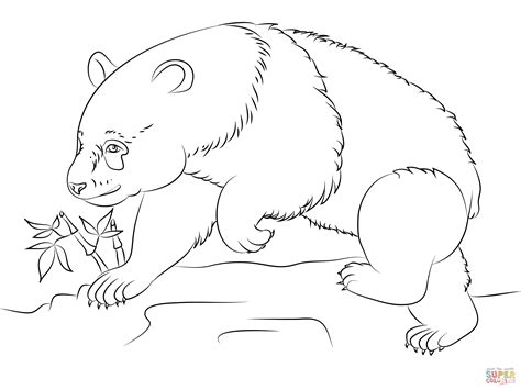 But we all must be careful. Panda coloring pages | The Sun Flower Pages
