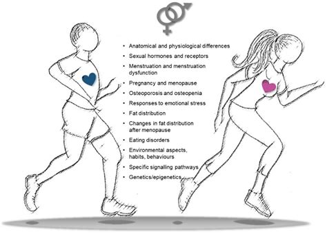 Ijms Free Full Text Sexgender Specific Imbalance In Cvd Could