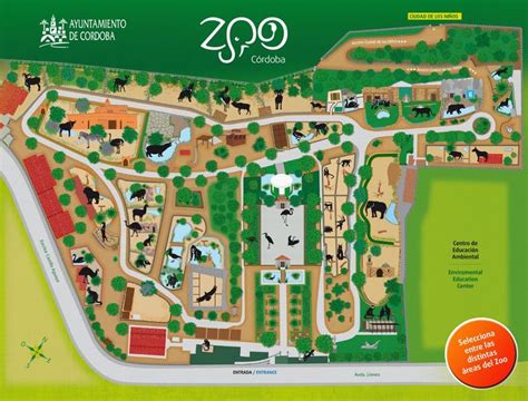 Plano Del Parque Zoológico De Córdoba Zoo Map Zoo San Diego Zoo