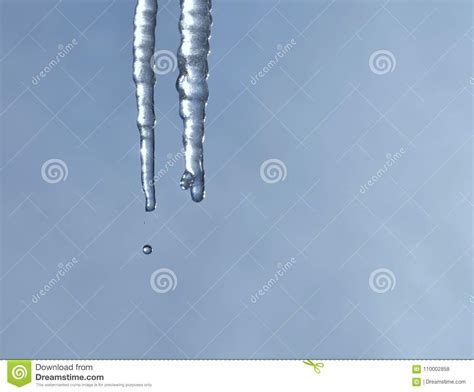 Melting Icicles With Falling Drops Of Water Stock Photo Image Of