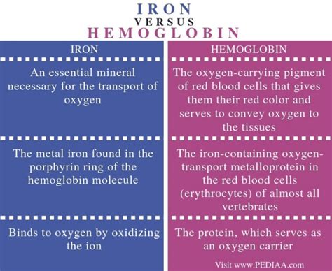 What Is The Difference Between Iron And Hemoglobin Pediaacom