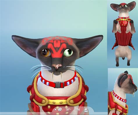I Made My Sims A New Pet Cat Sims4