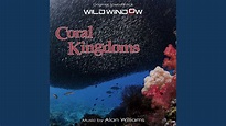 Coral Kingdoms - YouTube