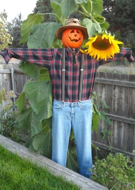 Fabulous Garden Scarecrow Ideas14 | Diy scarecrow, Garden scarecrow, Garden scarecrow ideas