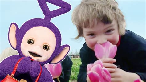 Teletubbies: Flowers Pack - Full Episode Compilation - YouTube