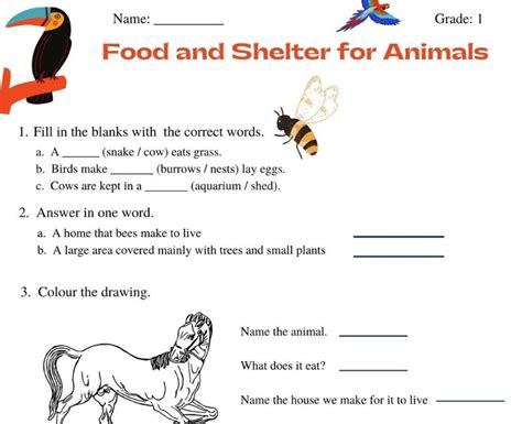 Fun And Educational Worksheet On Food And Shelter For Animals For Class 1