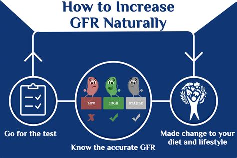 Kidney Treatment In Ayurveda How To Increase Gfr Naturally