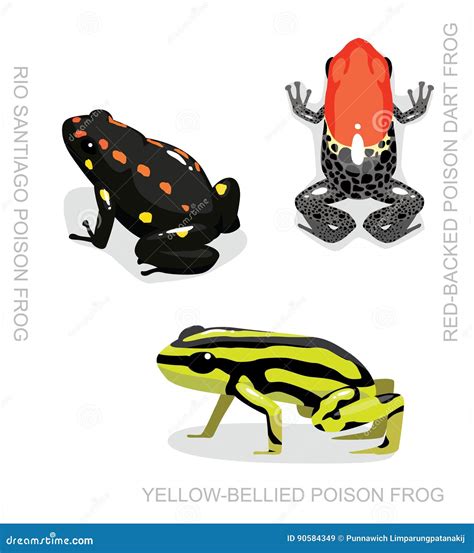 Red Backed Poison Dart Frog Set Cartoon Vector Illustration Stock