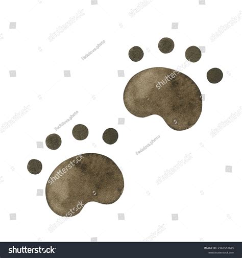 Watercolor Footprints Animals Footprints Forest Paw Stock Illustration