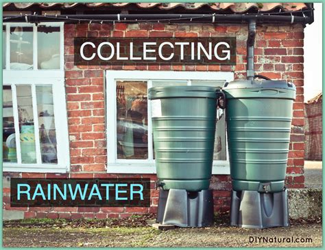 Collecting Rainwater In Diy Or Commercial Rain Barrels