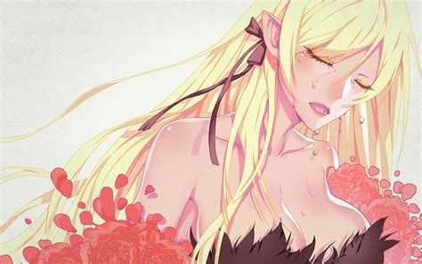 Shinobu Oshino Bakemonogatari Kizumonogatari Monogatari Series Kiss