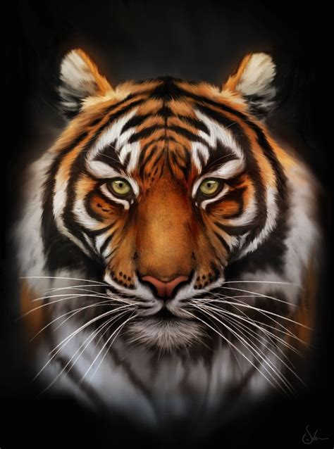 Save The Tiger By Sven Werren On Deviantart Save The Tiger Tiger