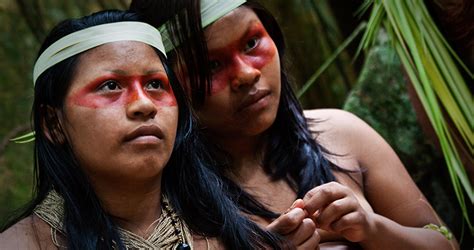 アマゾンの先住民が歴史的勝訴！ 広大な熱帯雨林を石油採掘からの保護に成功｜finders