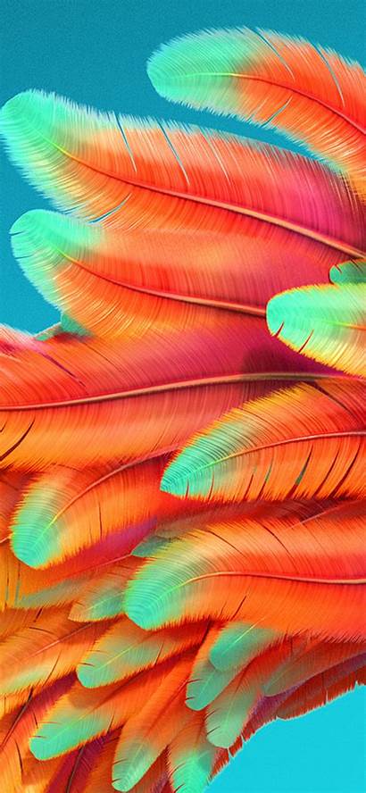 Iphone Rainbow Background Wallpapers Pattern Feather Colorful