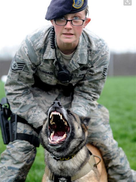 Pin By Melvin Bobo On K9 Heroes Military Dogs Military Working Dogs