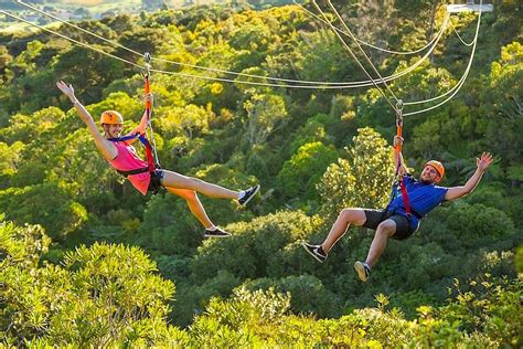 Ecozip Adventures Oneroa All You Need To Know Before You Go