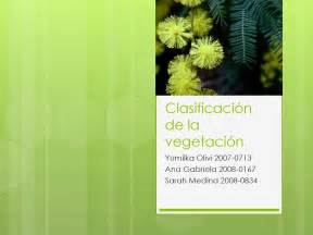Clasificación de la vegetación by ana hidalgo Issuu