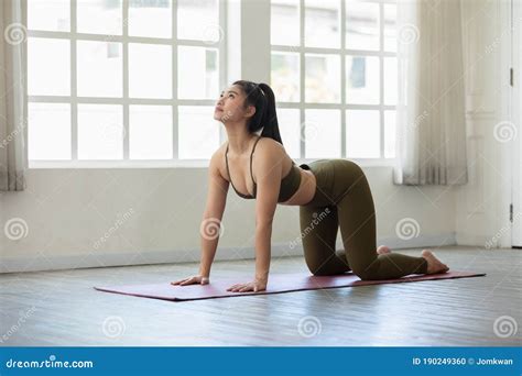 Athletic Asian Woman In Sportwear Practice Yoga Cat Cow Pose To