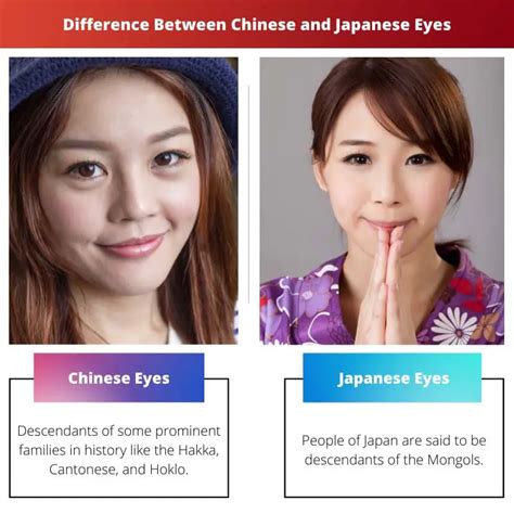 中国人と日本人の目 違いと比較