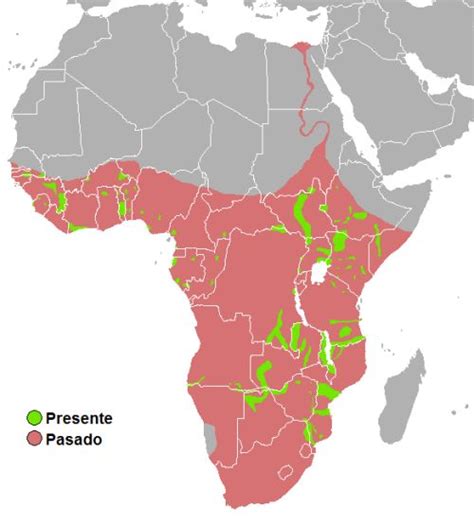 The Historical And Current Distribution Of The Hippopotamus