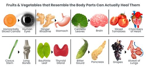 Foods That Look Like Body Parts Know Which Vegetables And Fruits Look